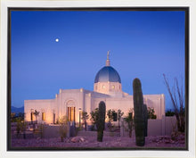 Load image into Gallery viewer, Tucson Cactus Morning