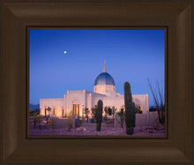 Load image into Gallery viewer, Tucson Cactus Morning