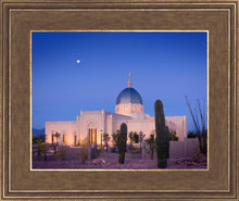 Load image into Gallery viewer, Tucson Cactus Morning