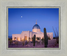 Load image into Gallery viewer, Tucson Cactus Morning