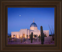 Load image into Gallery viewer, Tucson Cactus Morning