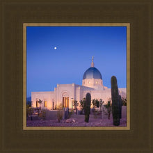 Load image into Gallery viewer, Tucson Cactus Morning