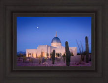 Load image into Gallery viewer, Tucson Cactus Morning