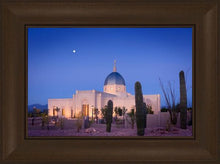 Load image into Gallery viewer, Tucson Cactus Morning