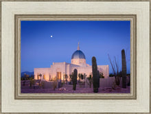 Load image into Gallery viewer, Tucson Cactus Morning
