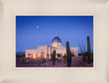 Load image into Gallery viewer, Tucson Cactus Morning