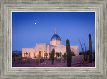 Load image into Gallery viewer, Tucson Cactus Morning