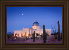 Load image into Gallery viewer, Tucson Cactus Morning