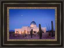 Load image into Gallery viewer, Tucson Cactus Morning