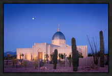 Load image into Gallery viewer, Tucson Cactus Morning