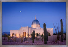 Load image into Gallery viewer, Tucson Cactus Morning