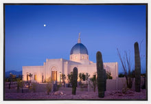 Load image into Gallery viewer, Tucson Cactus Morning