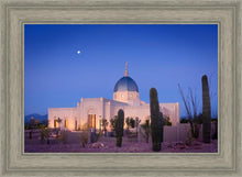 Load image into Gallery viewer, Tucson Cactus Morning