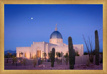 Load image into Gallery viewer, Tucson Cactus Morning