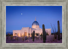 Load image into Gallery viewer, Tucson Cactus Morning