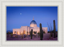 Load image into Gallery viewer, Tucson Cactus Morning