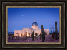 Load image into Gallery viewer, Tucson Cactus Morning