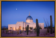 Load image into Gallery viewer, Tucson Cactus Morning