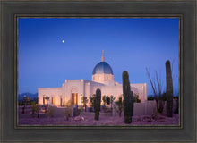 Load image into Gallery viewer, Tucson Cactus Morning