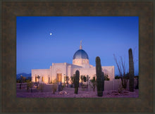 Load image into Gallery viewer, Tucson Cactus Morning