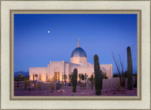 Load image into Gallery viewer, Tucson Cactus Morning