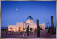Load image into Gallery viewer, Tucson Cactus Morning