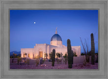 Load image into Gallery viewer, Tucson Cactus Morning