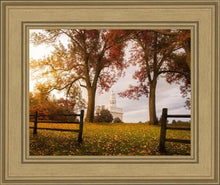 Load image into Gallery viewer, Nauvoo, An Ensign to the Nations