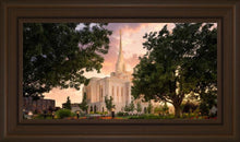 Load image into Gallery viewer, Ogden Pathways
