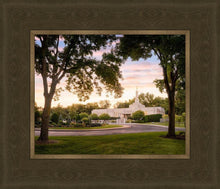 Load image into Gallery viewer, St. Paul Refuge