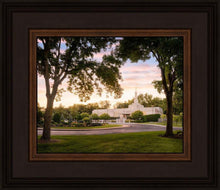 Load image into Gallery viewer, St. Paul Refuge