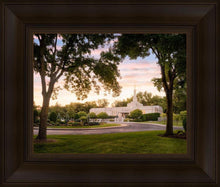 Load image into Gallery viewer, St. Paul Refuge