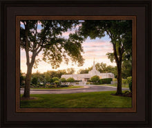 Load image into Gallery viewer, St. Paul Refuge