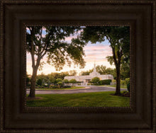 Load image into Gallery viewer, St. Paul Refuge