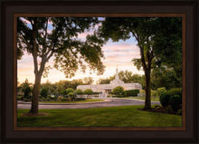 Load image into Gallery viewer, St. Paul Refuge