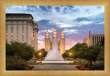 Load image into Gallery viewer, Salt Lake Fountain