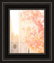 Load image into Gallery viewer, Salt Lake Blossom Glow