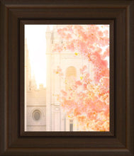Load image into Gallery viewer, Salt Lake Blossom Glow