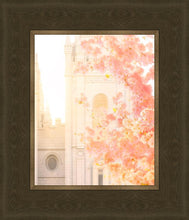 Load image into Gallery viewer, Salt Lake Blossom Glow