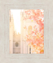 Load image into Gallery viewer, Salt Lake Blossom Glow