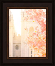 Load image into Gallery viewer, Salt Lake Blossom Glow