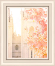 Load image into Gallery viewer, Salt Lake Blossom Glow