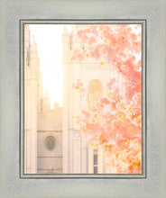Load image into Gallery viewer, Salt Lake Blossom Glow
