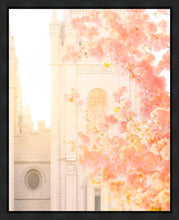 Load image into Gallery viewer, Salt Lake Blossom Glow