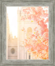 Load image into Gallery viewer, Salt Lake Blossom Glow