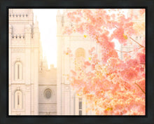 Load image into Gallery viewer, Salt Lake Blossom Glow