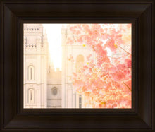 Load image into Gallery viewer, Salt Lake Blossom Glow
