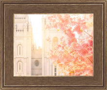 Load image into Gallery viewer, Salt Lake Blossom Glow