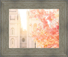 Load image into Gallery viewer, Salt Lake Blossom Glow
