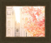 Load image into Gallery viewer, Salt Lake Blossom Glow